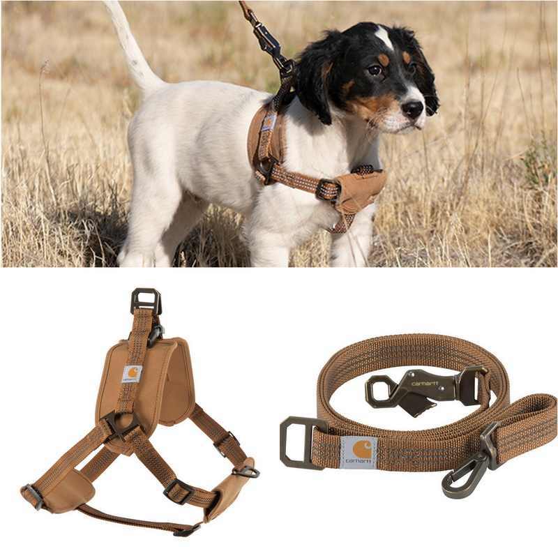 Tooling Chest Strap Dog Safety Training Belt Hand Holding Rope